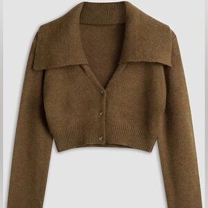 Commense Brown Cropped Women's Sweater